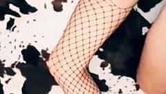 home porno with mature skinny wife licking and assfucking.