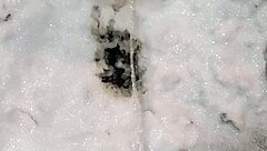 Why would someone dare to piss in public outdoors?