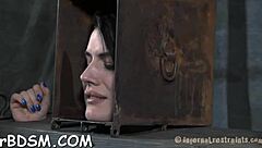 i'm the cunning maid using a toy in my room