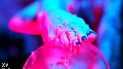 Sexy Redhead Crushes Cup Noodles With Feet