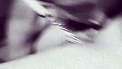 Can You Handle Cody Roy's Beast?