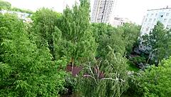 Step Daddy Feels The Need For A Blowjob Before Work