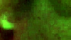 Dripping wet girlfriend masturbating – intense solo session