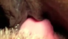 Morning Licks And Laughs With Pretty Pussy Cunilingus