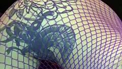 full kyoho grapes clip available on my channel