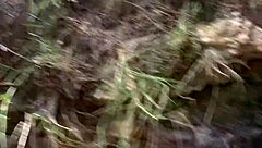 Shana Spirit Performs Hardcore Amateur Scene With Cumshot Facial Outdoors