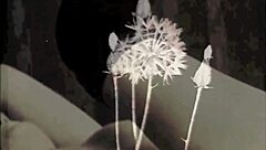 Vintage Mother Nature with Hairy Beaver and Mummification Boobs.