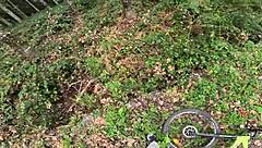 Surprising Stranger Girl in Forest for Public Outdoor Fucking