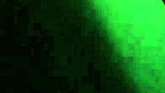 Morocha cola hermosa