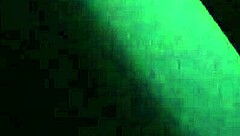 Morocha cola hermosa