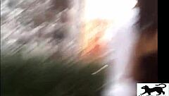 my street cat adventure number one