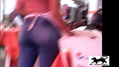 my street cat adventure number one