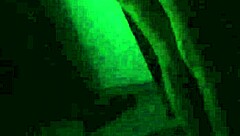 Morocha cola hermosa