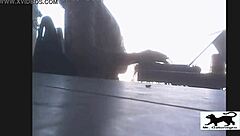 my street cat adventure number one