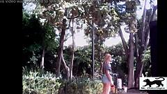 my street cat adventure number one