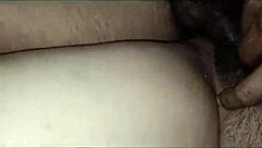indian wife screams during intense homemade ass pounding