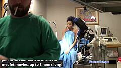 Dr tampa human guinea pigs phoenix rose in florida