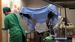 Dr tampa human guinea pigs phoenix rose in florida