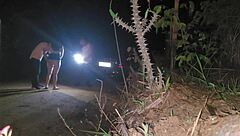 Sharing My Young Latina Wife with Stranger BBC on Public Street