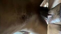 Naughty stepsis having fun with stepdads huge dick - ebony porn 😏