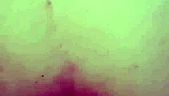 why film this homemade stuff?