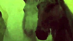 My secret life in vintage times