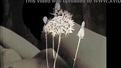 My secret life in vintage times