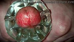 Homemade Solo With Toys Leads To Oozing Cum Closeup