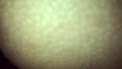 Her shaved pussy gets so wet from the creampie, feeling that tight orgasm build up.