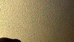 Amateurs enjoy pregnant fucking on Friday night