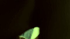 Amateur Cute Brunette Teen with Natural Tits in Panties Fucked in Doggystyle Tight Pussy