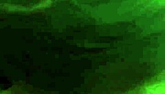 Thick Married Chick Sucks My Cock