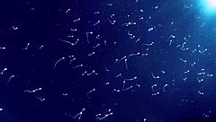 Космическая шлюха забирает мою сперму прямо в пизду