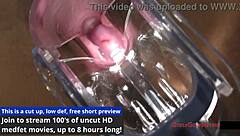 Human Guinea Pigs - Miss Mars.