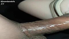 Trailer Candy uses beige panties for vaginal sex