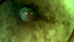 Titties sucked passionately