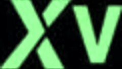 Amateur Ebony Sucking Dick