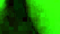 Student Says, 'My Big Ass Makes Horse Riding Easy'