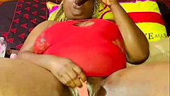 nigarchrist update 1572 petal on jul 07 2025