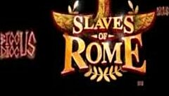 Upgrade Your Slave With Toys?