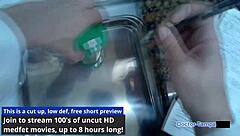 jasmine roses' physical exam