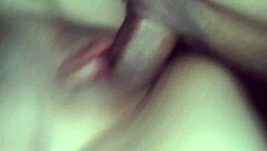 I ride a Venezuelan potra with intense passion