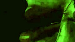 Classic vintage erotic drawings collection