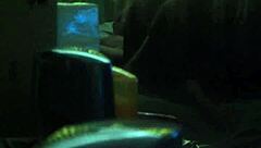 bbw and skinny amateurs together