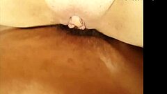 Juicy shaved pussy gets assfucked hard.