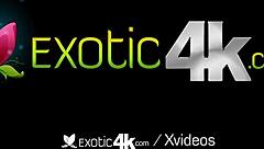 Oiled Busty Mixed Babes Filled With Big Dicks