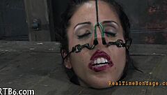 Detailed bondage scenes with bound participants in episodes