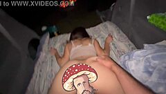 seasonal compilation gift