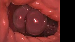 Whisperingfornothing delivers intense animated furry orgy compilation with shemale creampie action in public outdoor settings