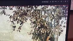 Hey, those public kisses on the dick right out in the open street sound super thrilling and bold